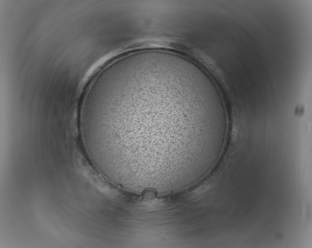 X0000112921174200909080927