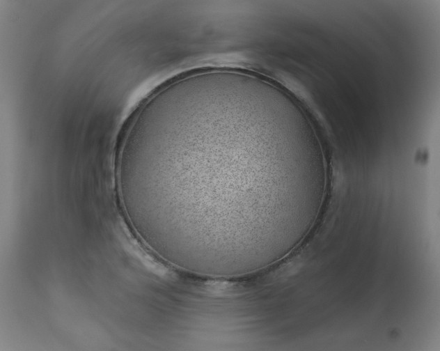 X0000112921176200909080927