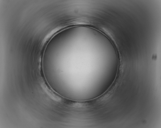 X0000112921179200909080927