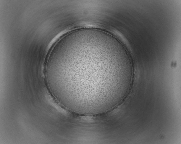 X0000112921182200909080927