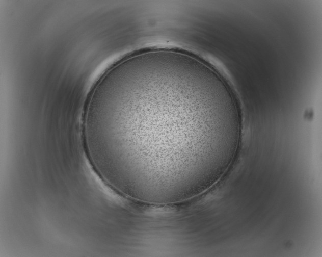 X0000112921183200909080927