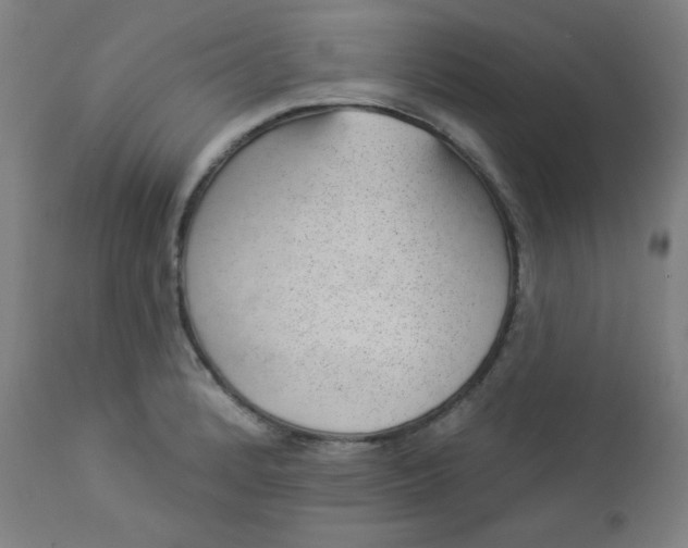 X0000112921184200909080927