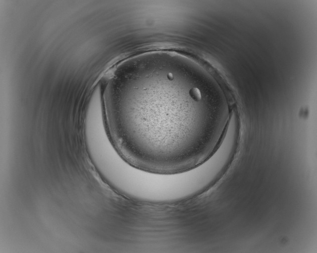 X0000112921185200909080927