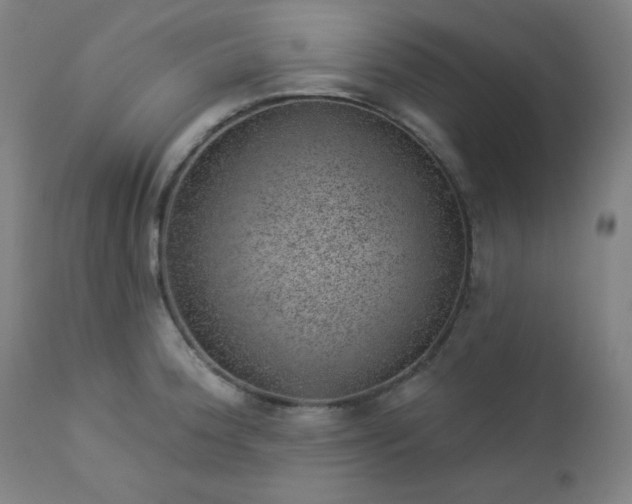 X0000112921188200909080927