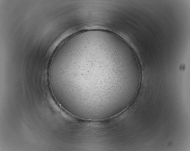 X0000112921189200909080927