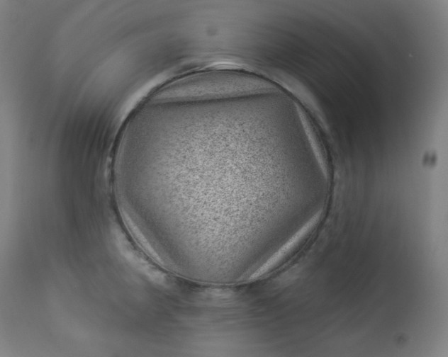 X0000112921190200909080927