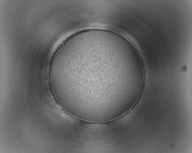 X0000112921192200909080927