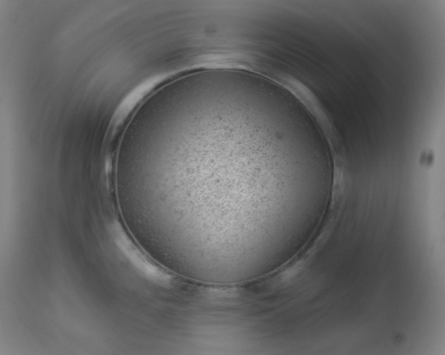 X0000112921196200909080927
