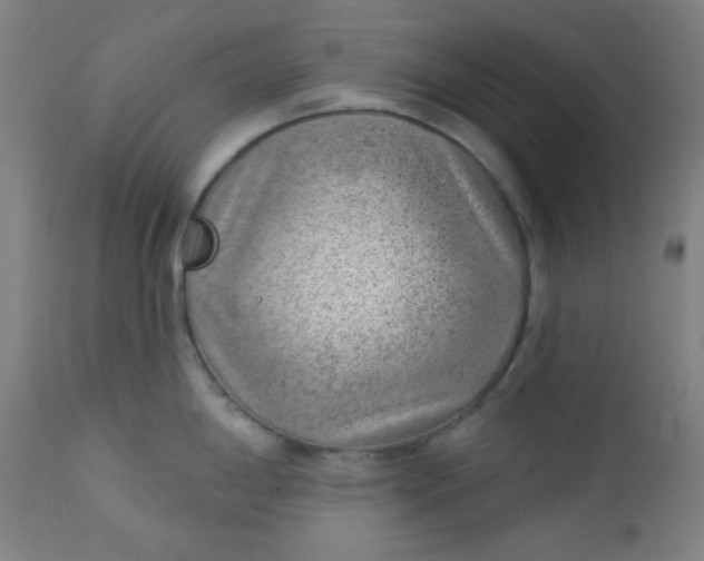 X0000112921198200909080927