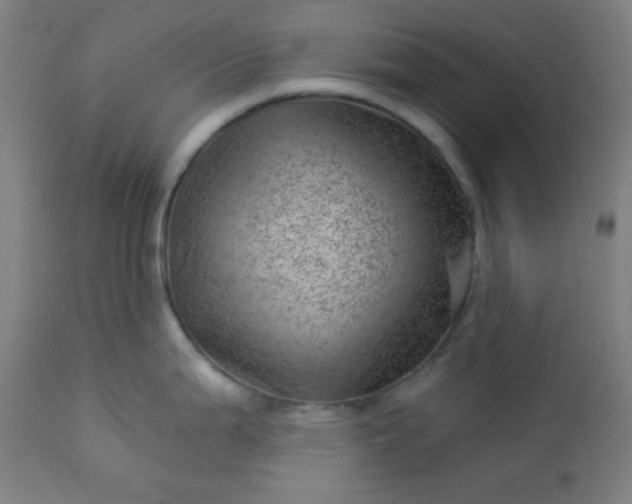 X0000112921199200909080927
