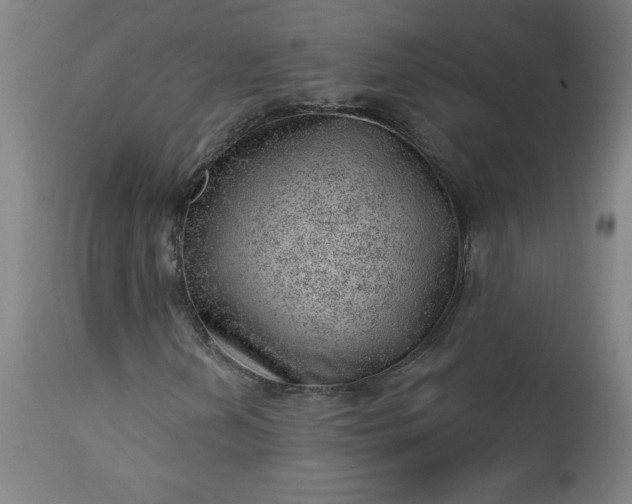 X0000112921202200909080926