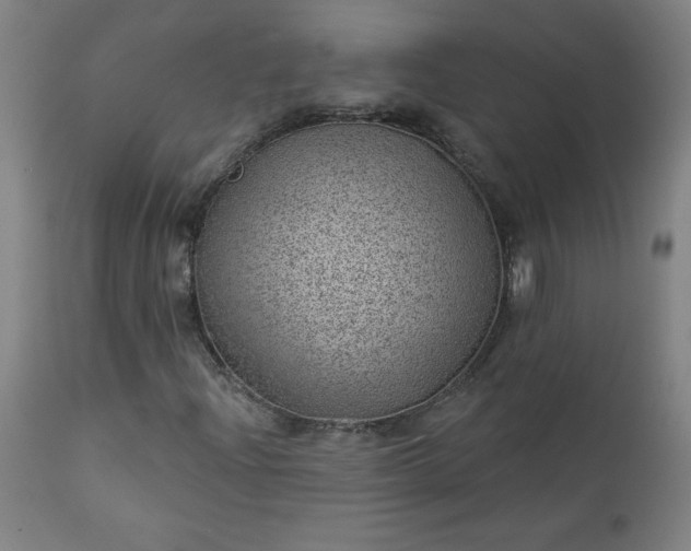 X0000112921204200909080926