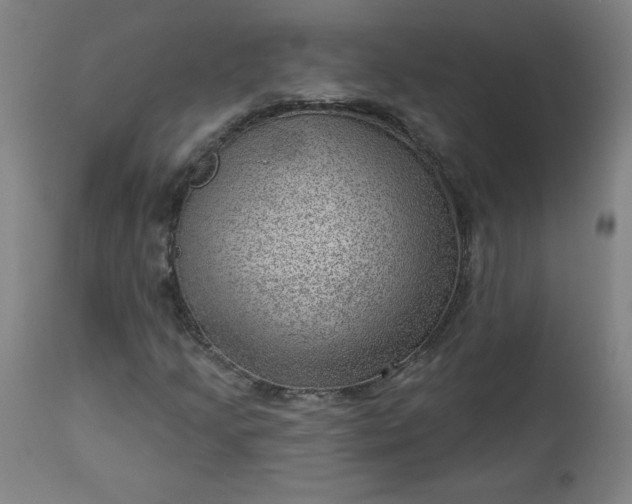 X0000112921205200909080926