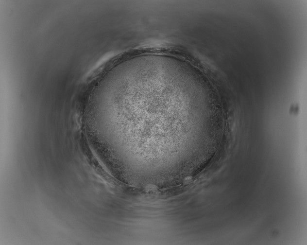 X0000112921206200909080926