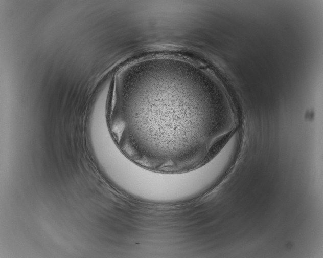 X0000112921209200909080926
