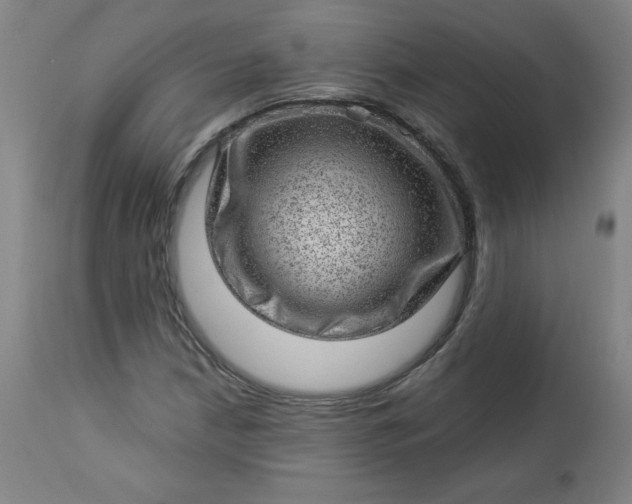 X0000112921210200909080926
