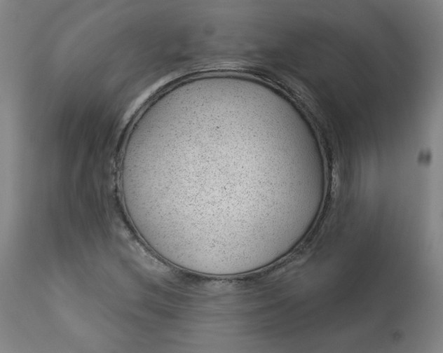 X0000112921212200909080926
