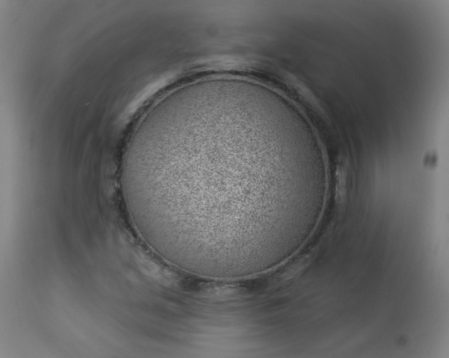 X0000112921213200909080926