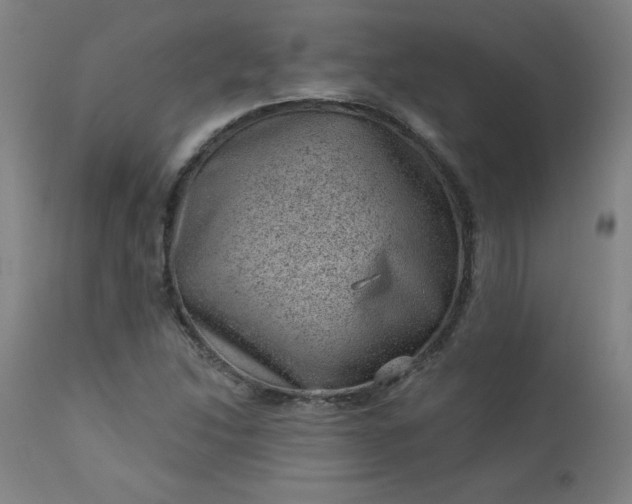 X0000112921214200909080926