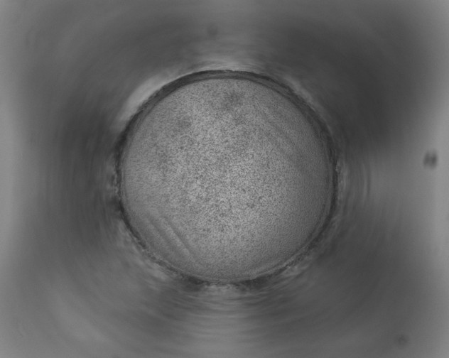 X0000112921215200909080926
