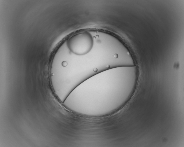 X0000112921216200909080926