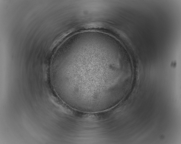 X0000112921217200909080926