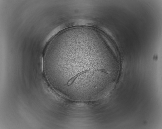 X0000112921219200909080926