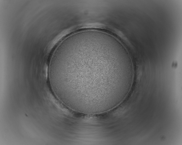 X0000112921221200909080926
