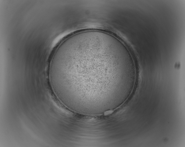 X0000112921222200909080926