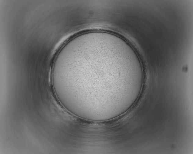 X0000112921224200909080926