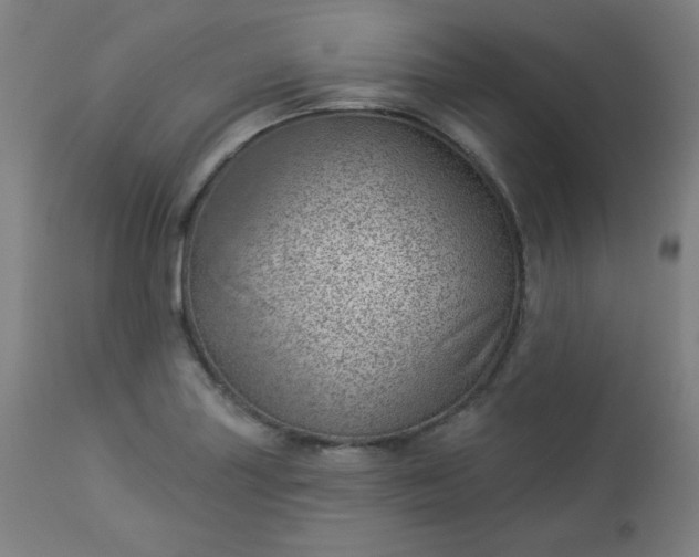 X0000112921227200909080926