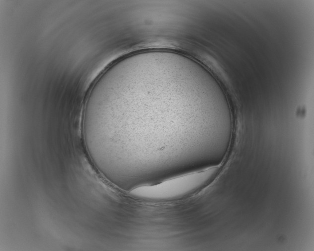 X0000112921228200909080926