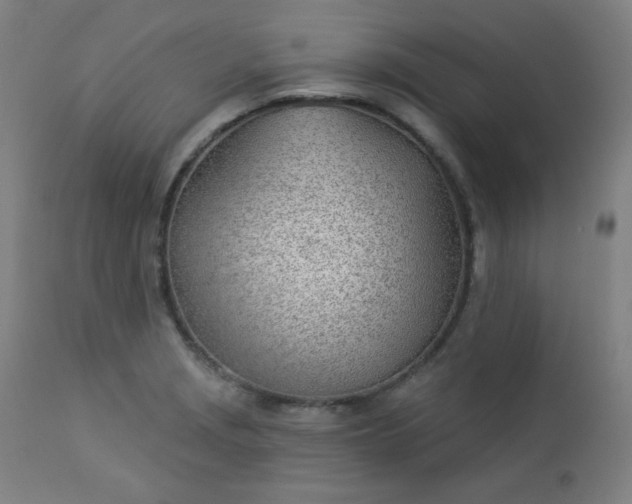 X0000112921229200909080926