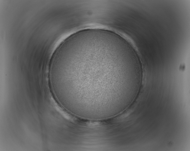X0000112921231200909080926