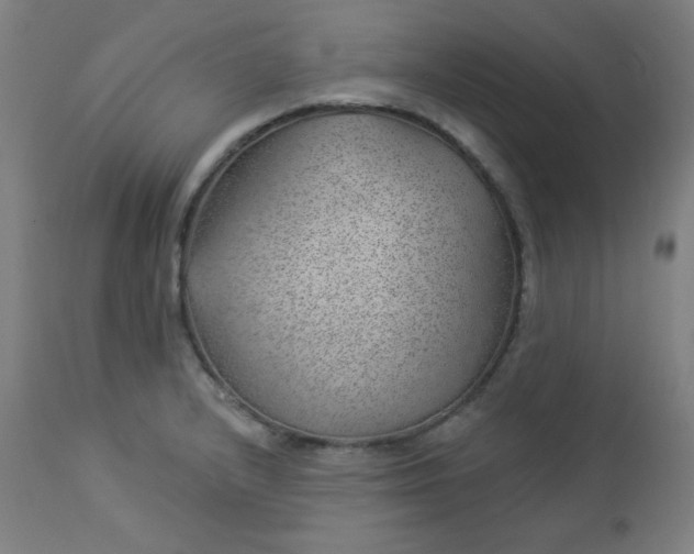 X0000112921232200909080926
