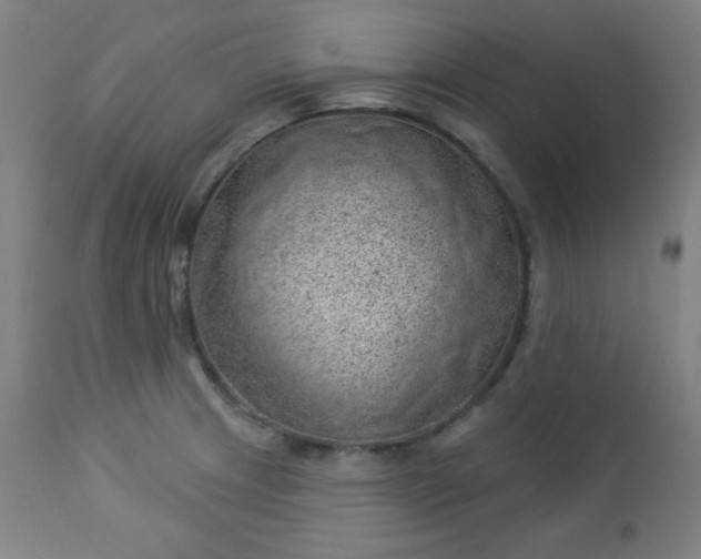 X0000112921233200909080927