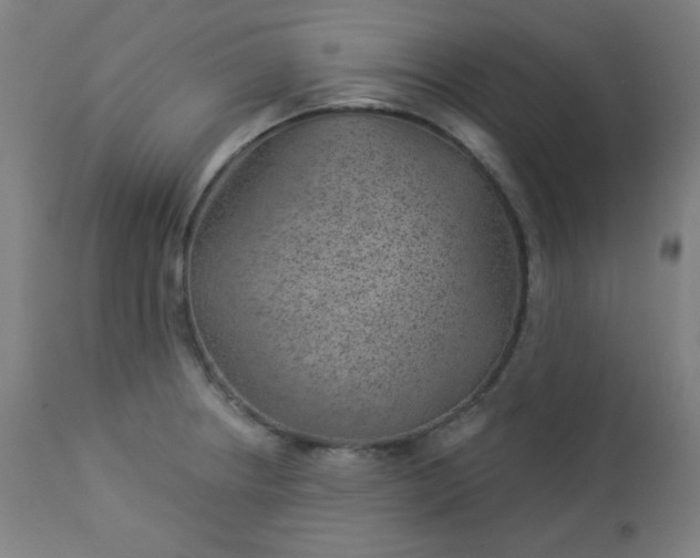 X0000112921234200909080927