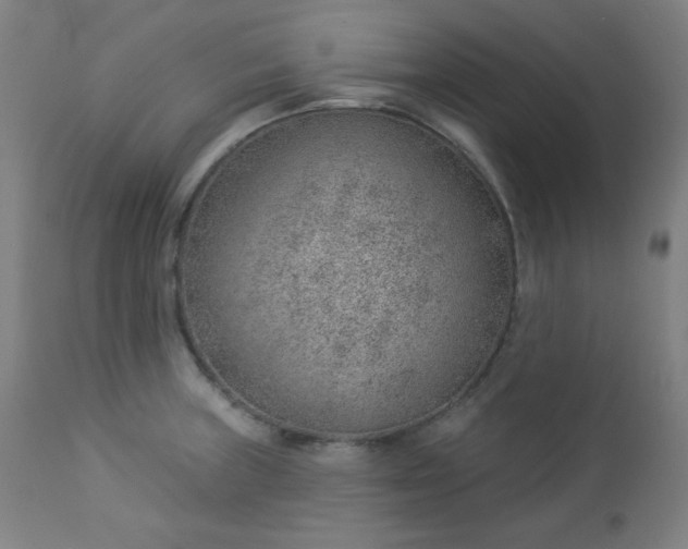X0000112921235200909080927