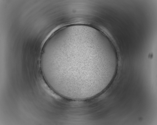 X0000112921236200909080927