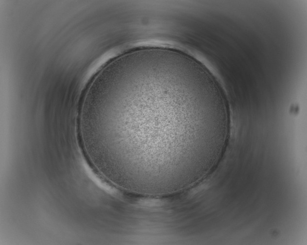 X0000112921237200909080927