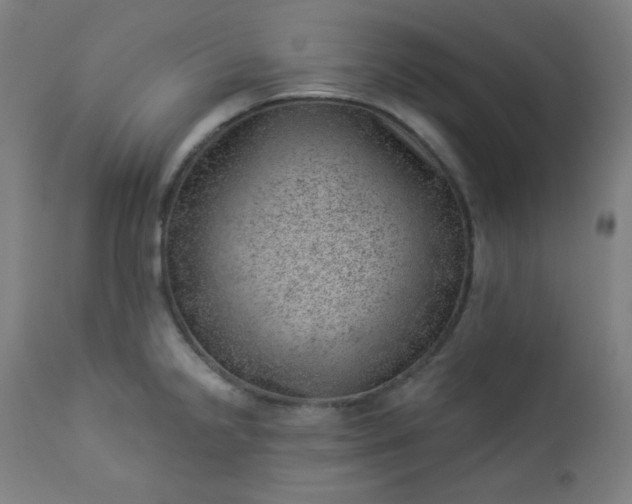 X0000112921238200909080927