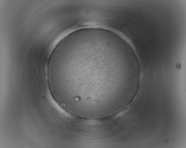 X0000112921239200909080927