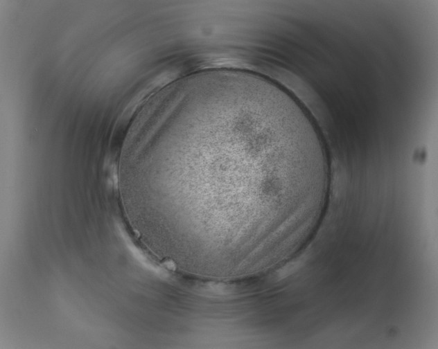 X0000112921241200909080927