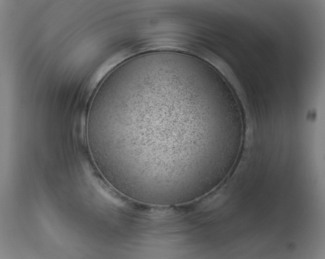 X0000112921242200909080927