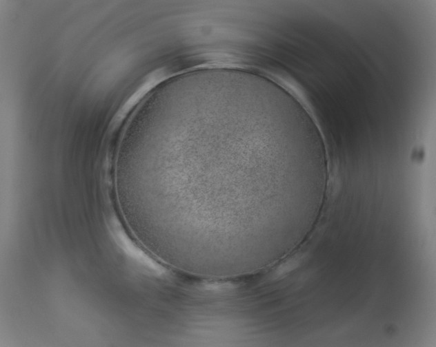 X0000112921243200909080927