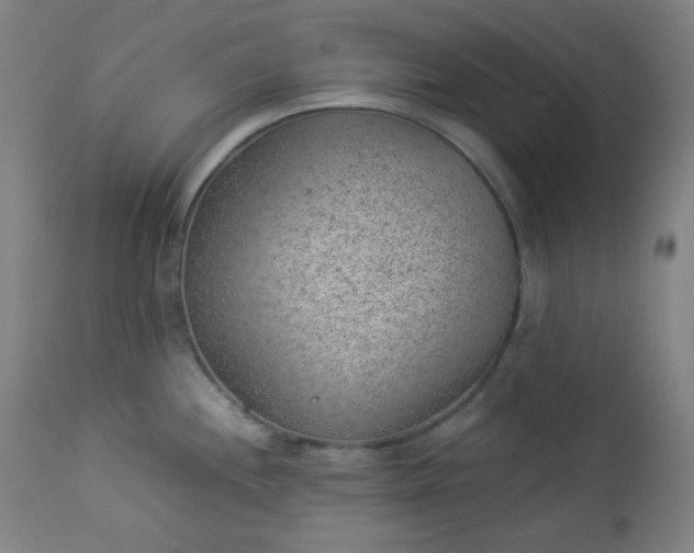X0000112921244200909080927
