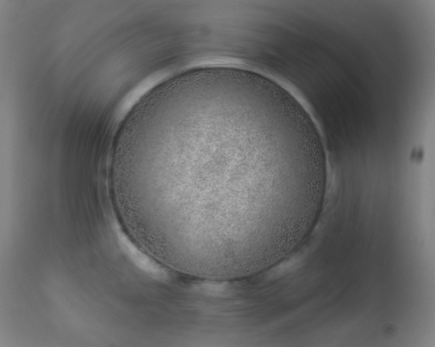 X0000112921245200909080927