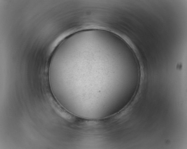 X0000112921246200909080927