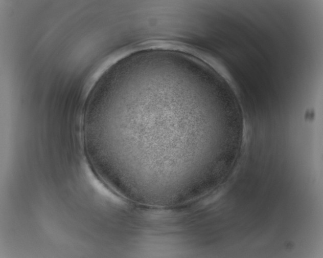X0000112921247200909080927