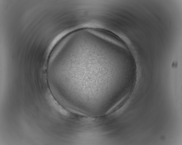 X0000112921248200909080927